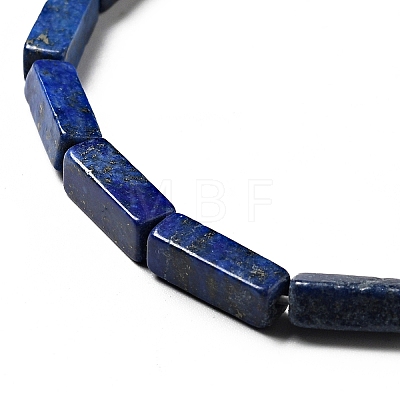 Natural Lapis Lazuli Beads Strands X-G-I326-04-1