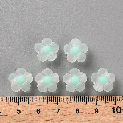 Transparent Acrylic Beads X-TACR-S152-06C-SS2111-1