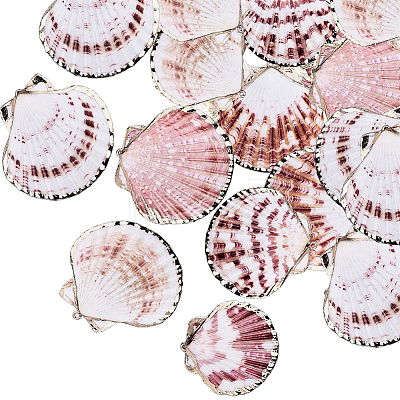20Pcs Electroplate Natural Sea Shell Pendants SSHEL-PH0001-52-1