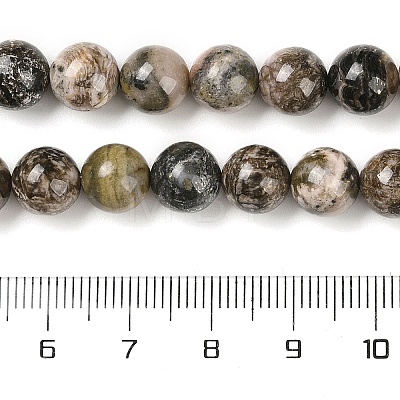 Natural Rhodonite Beads Strands G-P524-A01-03-1