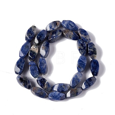 Natural Sodalite Beads Strands G-L243A-18-1