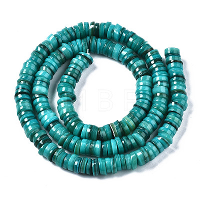 Natural Freshwater Shell Beads Strands X-SHEL-Q024-001D-1