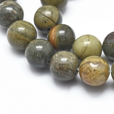 Natural Silver Leaf Jasper Beads Strands G-I254-04B-1