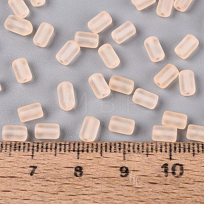 FGB Frosted Transparent Glass Seed Beads X-SEED-N013-05A-03-1
