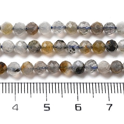 Natural Labradorite Beads Strands G-G161-A09-03-1