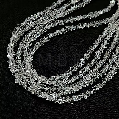 Natural Herkimer Diamond Beads Strands G-L611-A01-01-1