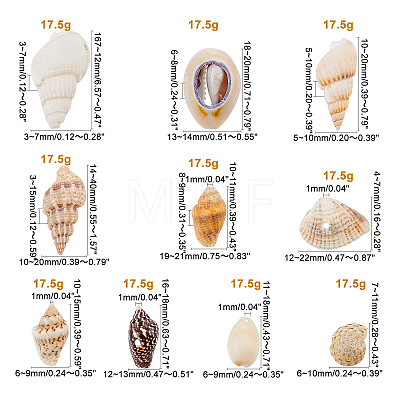 Natural Sea Shell Beads Kits SSHEL-PH0002-51-1