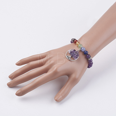 Chakra Jewelry Natural & Synthetic Mixed Stone Beads Charm Bracelet BJEW-JB03608-1