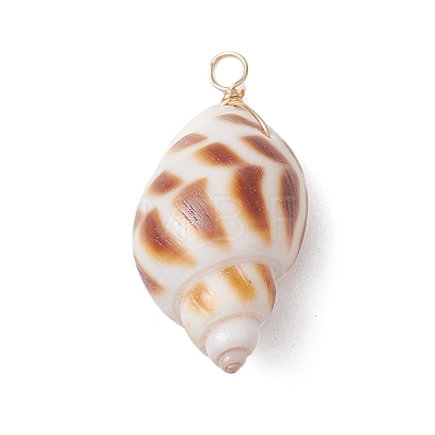 Natural Spiral Shell Pendants PALLOY-JF02949-1