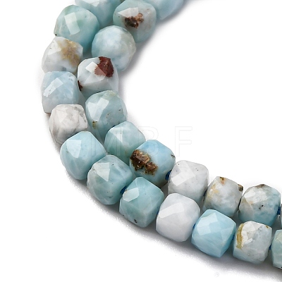 Natural Larimar Beads Strands G-F803-C01-03-1