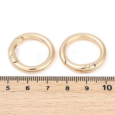 Alloy Spring Gate Clasps FIND-H012-05KCG-1