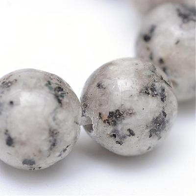 Natural Sesame Jasper/Kiwi Jasper Bead Strands G-R345-10mm-11-1