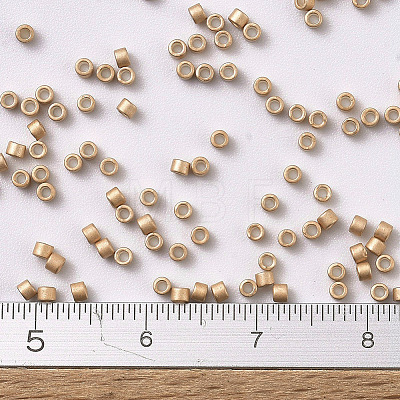 MIYUKI Delica Beads SEED-X0054-DB1152-1
