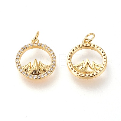 Brass Micro Pave Clear Cubic Zirconia Charms X-ZIRC-L098-025G-1