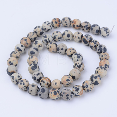 Natural Dalmatian Jasper Beads Strands G-Q462-8mm-05-1