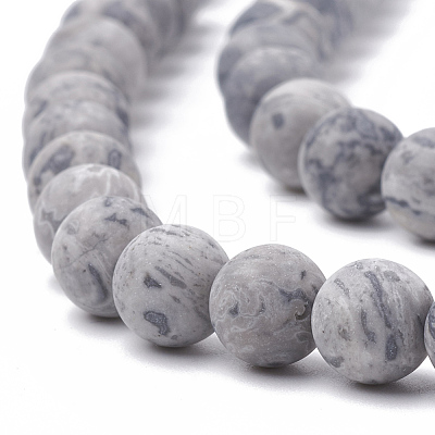 Natural Map Stone/Picasso Stone/Picasso Jasper Beads Strands G-T106-224-1