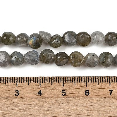 Natural Labradorite Beads Strands G-Q060-B02-1