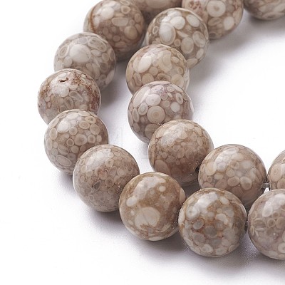 Natural Fossil Coral Beads Strands G-F563-02-10mm-1