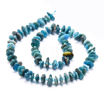 Natural Apatite Beads  Strands G-E569-J01-1