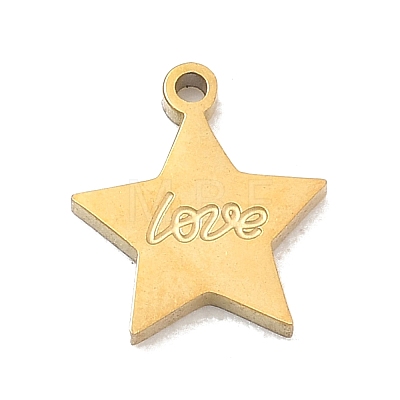 304 Stainless Steel Charms SA-CBA2714-01D-G-1