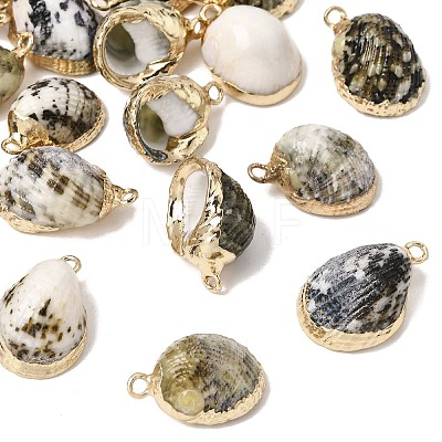 Brass & Natural Shell Pendants SH-CBA27C9-05-1