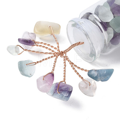 Natural Fluorite Chips Tree Decorations DJEW-P021-E03-1