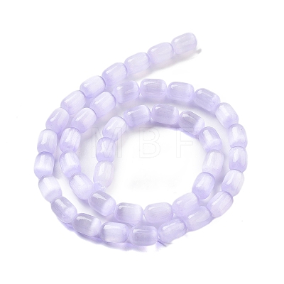 Natural Selenite Beads Strands G-F750-B-06-1