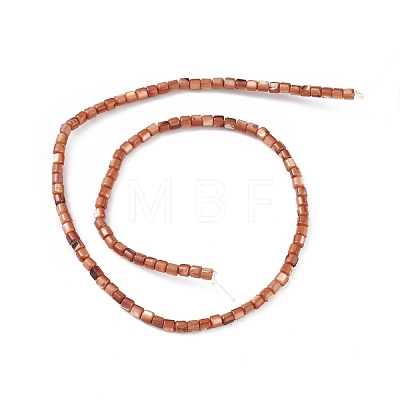 Natural Freshwater Shell Dyed Beads Strands SHEL-M018-14-02-1
