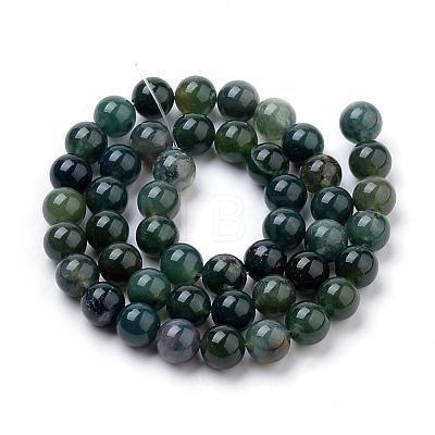Natural Moss Agate Beads Strands G-I199-06-10mm-1