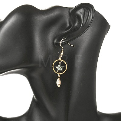 Natural Paua Shell & Stainless Steel Dangle Earrings for Women EJEW-JE07076-01-1