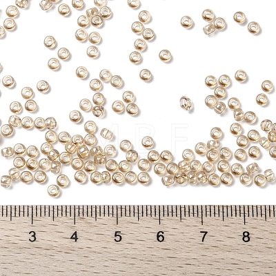 MIYUKI Round Rocailles Beads SEED-G008-RR2439-1