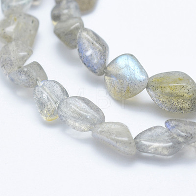 Natural Labradorite Beads Strands LS-G-K203-12-1