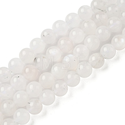 Natural Rainbow Moonstone Beads Strands G-I249-B04-04-1