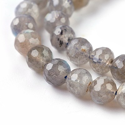 Natural Labradorite Beads Strands G-O176-04B-1
