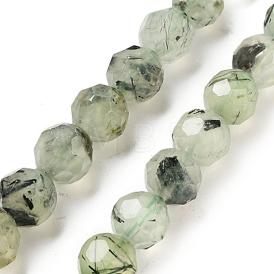 Natural Prehnite Beads Strands G-C150-B02-01-1