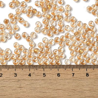 6/0 Transparent Colours Glass Seed Beads SEED-P006-01A-09-1