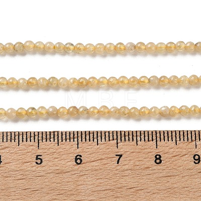 Natural Yellow Garnet Beads Strands G-Z129-C01-3mm-01-1