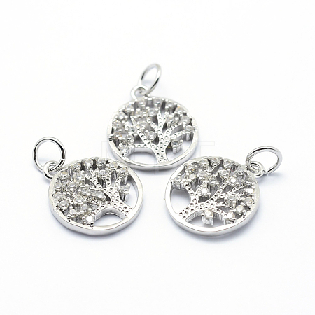 Brass Micro Pave Cubic Zirconia Charms ZIRC-L070-06P-1