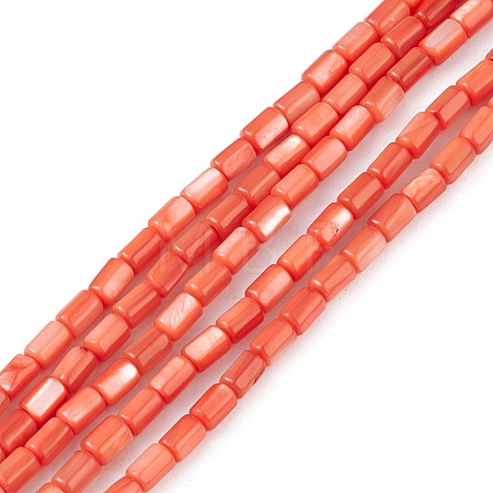 Natural Freshwater Shell Dyed Beads Strands SHEL-M018-12-02-1