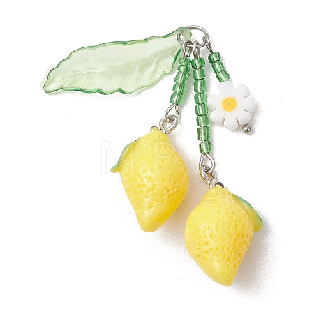 Handmade Lampwork & Glass Seed Bead & Resin Big Pendants PALLOY-MZ01306-01-1