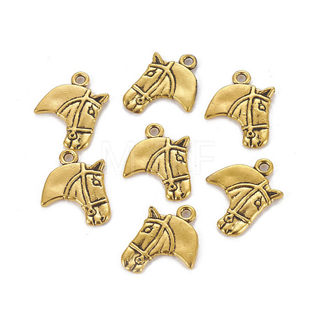 Tibetan Style Alloy Pendants GLF10908Y-NF-1