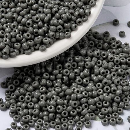 MIYUKI Round Rocailles Beads X-SEED-G008-RR0499-1