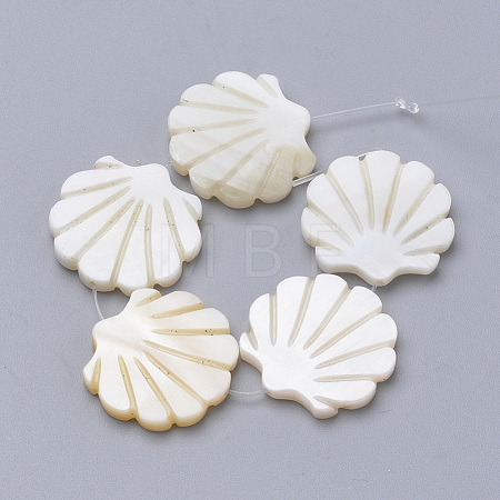 Natural Freshwater Shell Beads SHEL-T007-05-1