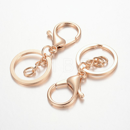 Iron Keychain Clasp Findings PALLOY-J682-03KCG-1