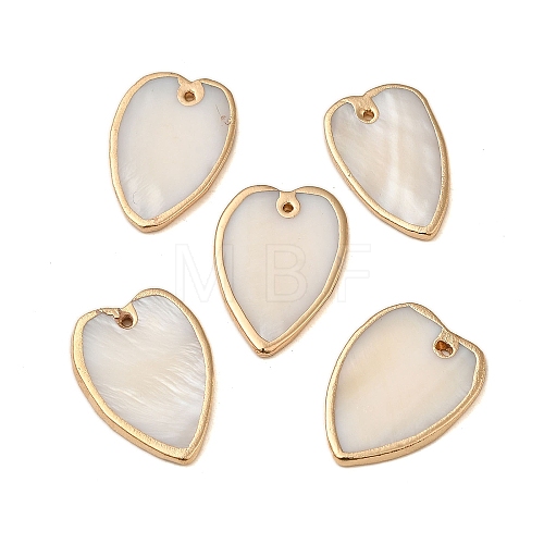 Natural Freshwater Shell Pendants SHEL-M021-15G-1