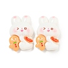Christmas Rabbit Theme Opaque Resin Decoden Cabochons CRES-B022-04A-1