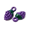 Baking Paint Alloy Pendants LS-FIND-G097-04B-2