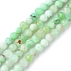 Natural Chrysoprase Beads Strands G-F748-X01-03B-1