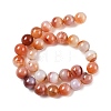Natural Multi-Color Agate Beads Strands G-A261-B21-14mm-3