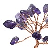 Natural Amethyst Chip Pachira Glabra Display Decorations DJEW-K025-04A-3